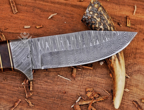 Custom Damascus Hunting Knife: Rosewood, Camel Bone Handle