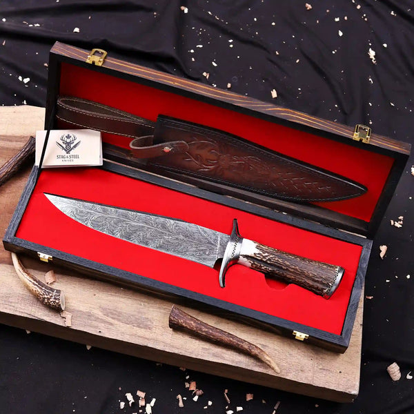 Feather Damascus bowie knife with antler handle in wooden presentation box with red lining