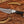 Custom Ringtail Hunting Knife – Bull Horn Handle – Stainless Damascus Blade with Maple Leaf Sheath