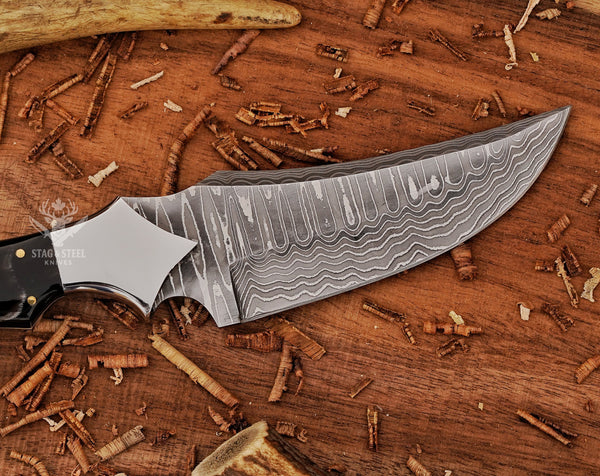 Custom Ringtail Hunting Knife – Bull Horn Handle – Stainless Damascus Blade with Maple Leaf Sheath