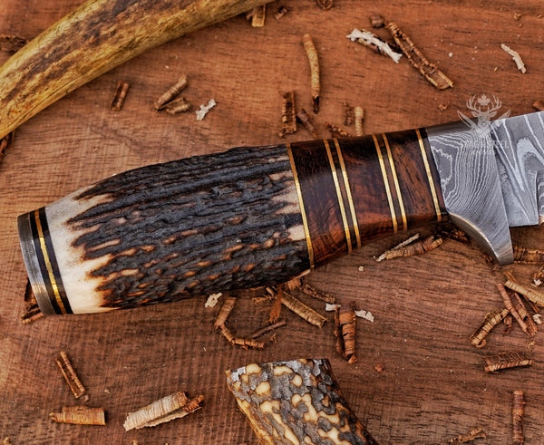 Custom Damascus Hunting Knife: Rosewood, Stag Horn Handle