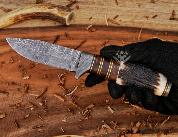 Custom Damascus Hunting Knife: Rosewood, Stag Horn Handle