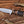 Custom D2 Small Hunting Knife With SS Guard