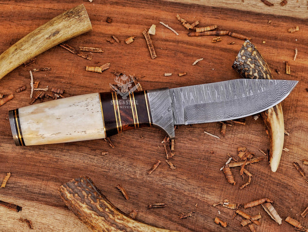 Custom Damascus Hunting Knife: Rosewood,  Camel Bone Handle