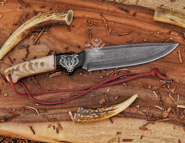 Hand Forged D2 Steel Knife: Camel Bone & Ram Horn Handle, Wolf Sheath