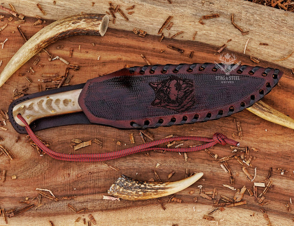 Hand Forged D2 Steel Knife: Camel Bone & Ram Horn Handle, Wolf Sheath