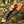 26-inch Viking axe featuring a distinctive rocking style design