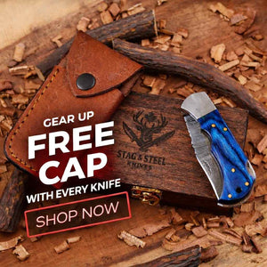 Blue Pakka Wood Damascus Folding Knife for Everyday Carry with free gift