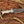 Custom ringtail hunting knife with camel bone handle