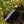 Handmade 8-inch Damascus steel fixed-blade fillet knife with a red honeycomb resin handle and camel bone bolster resting on a tree stump.