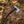 Damascus steel axe featuring a handcrafted rosewood handle