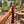 Handmade Damascus steel twin hatchet set with rosewood handles