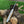 A folding pocket knife with a silver blade and a cream-colored handle featuring a blue geometric pattern, resting on a rustic tree stump against a green grass background.