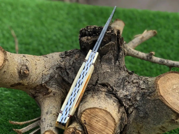 A folding pocket knife with a silver blade and a cream-colored handle featuring a blue geometric pattern, resting on a rustic tree stump against a green grass background.