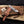 Damascus bowie knife with walnut handle, tooled leather sheath, and wood box