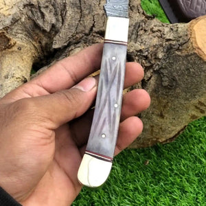Hand holding a folding knife with a decorative handle against a natural background