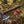 Handcrafted Viking bearded axe with detailed handle engraving