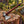 Handmade Damascus steel bushcraft axe with wood handle