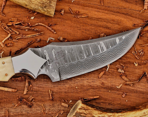 Custom Ringtail Hunting Knife – Camel Bone Handle – Stainless Damascus Blade with Maple Leaf Sheath