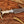 Handmade D2 Hunting Knife | Ringtail Grip | Camel Bone Handle