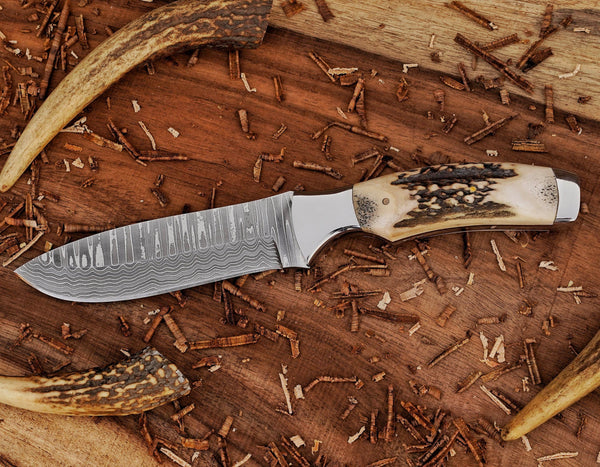 Bushcraft Knife | Stainless Damascus Steel Blade | Stag Handle | SS Bolsters & Leather Sheath.