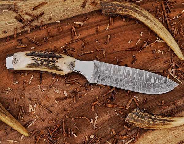 Bushcraft Knife | Stainless Damascus Steel Blade | Stag Handle | SS Bolsters & Leather Sheath.