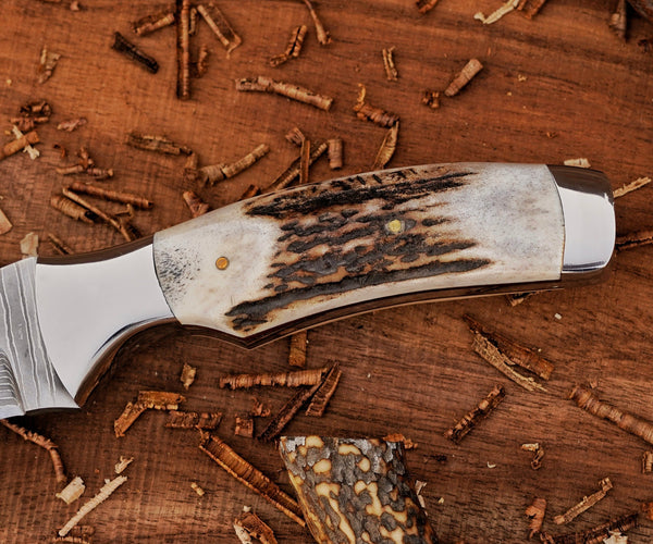 Bushcraft Knife | Stainless Damascus Steel Blade | Stag Handle | SS Bolsters & Leather Sheath.