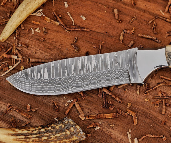 Bushcraft Knife | Stainless Damascus Steel Blade | Stag Handle | SS Bolsters & Leather Sheath.