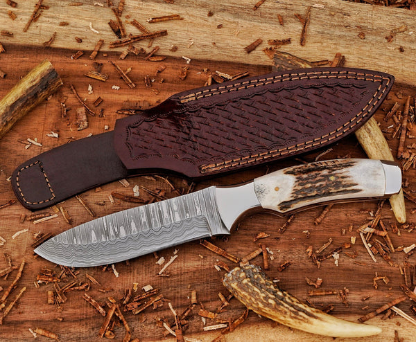 Bushcraft Knife | Stainless Damascus Steel Blade | Stag Handle | SS Bolsters & Leather Sheath.