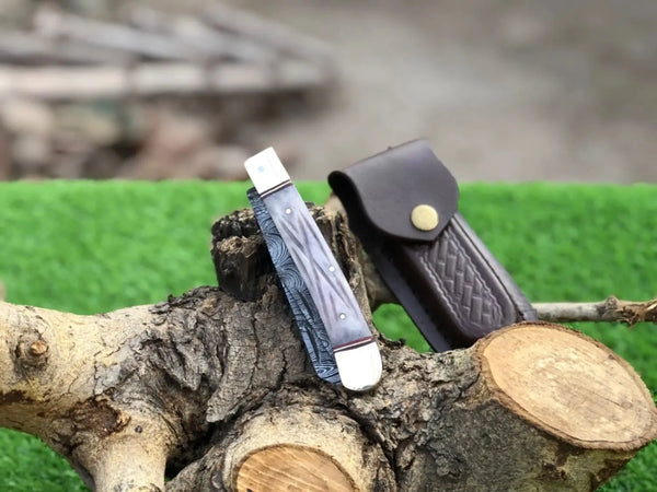 Pocket knife with a sheath on a wooden branch