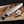  D2 steel Predator bowie knife showing 14 inch black tool steel blade