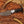 Premium ringtail hunting knife 