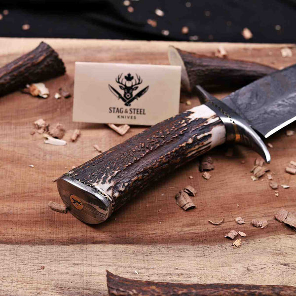 Antler horn handle Feather Damascus bowie knife displayed with brand card