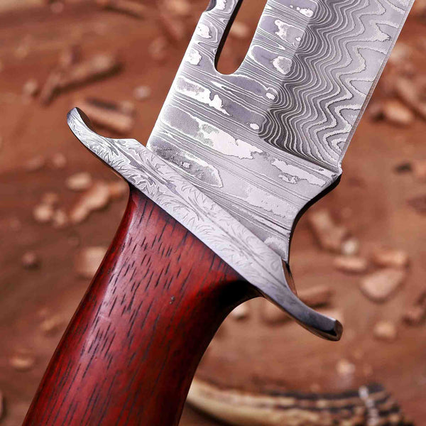 Macro shot of Damascus guard and pakka wood handle joint