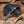 Two knives on a wooden surface with antlers and wood shavings.