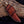 Buckaroo Knives Snake Sheath Fixed Blade | Rasp Steel & Turquoise