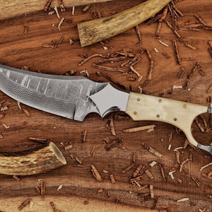 Custom ringtail knife with stainless Damascus blade and camel bone handle