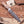 D2 full tang hunting knife with Damascus guard and lacewood handle angled on workbench