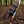 Bull Cutter Knife | Multi-Color Damascus Steel | Fixed Blade