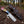 bull cutter Knife with a leather sheath on a forest floor