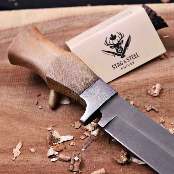 Hand-forged Damascus guard meeting lacewood handle on full tang D2 knife