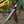 A fixed-blade knife with a patterned steel blade, black handle, and blue inlay, resting diagonally on a brown leather sheath against a rustic wood log with green foliage in the background.
