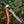A fixed-blade knife with a patterned steel blade and a blue honeycomb-textured handle, shown resting on a tree branch in an outdoor forest setting.
