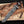 Handmade Damascus bowie knife with wenge wood handle on rustic wood