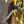 Knife with a decorative handle on a wooden surface