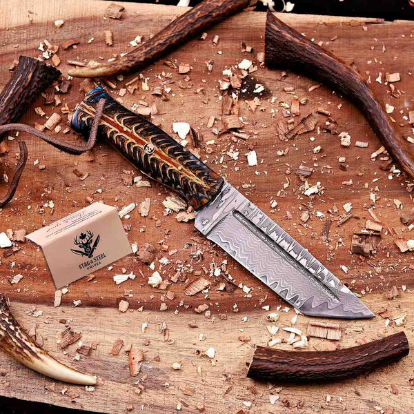 Handmade San Mai Damascus tanto knife with Stag Steel Knives care card