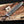  Predator bowie knife handmade in Canada with Stag Steel Knives 

