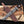 Predator handmade Damascus bowie knife with wenge handle and leather sheath