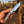 A hand holds a fixed-blade knife with a silver serrated blade and a textured tan handle with blue and white polka dots, set against a rustic outdoor background of a wooden barn and fence.