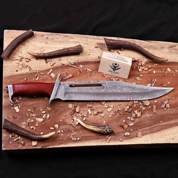 VG10 stainless Damascus bowie knife with red pakka wood handle